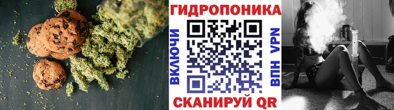 Canna-Cookies марихуана  omg маркетплейс  Сортавала 