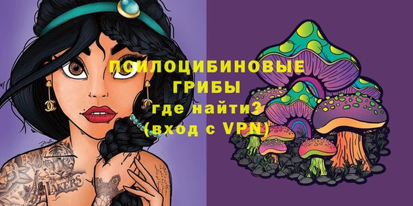 хмурый Надым